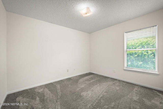 spare room with carpet floors and a textured ceiling