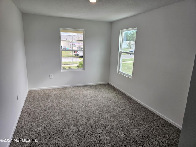 spare room featuring plenty of natural light and carpet