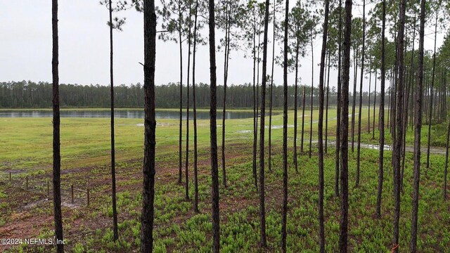 Listing photo 3 for LOT4 US Highway 301, Jacksonville FL 32011