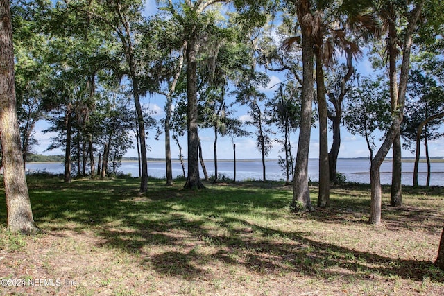 view of yard with a water view