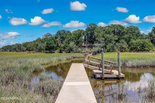 dock area featuring a water view