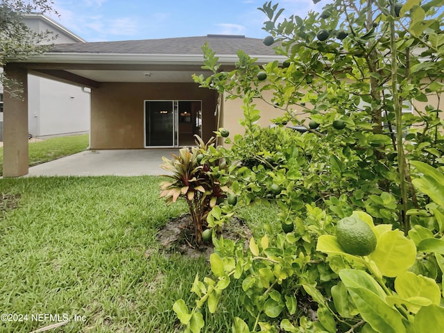 rear view of property with a patio area and a yard