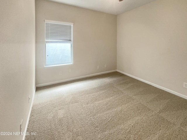 spare room with carpet floors