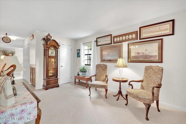 living area featuring light carpet and a textured ceiling