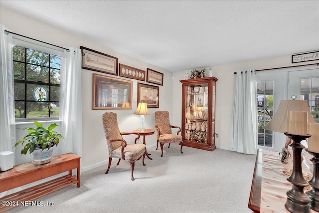 sitting room with carpet floors and a textured ceiling