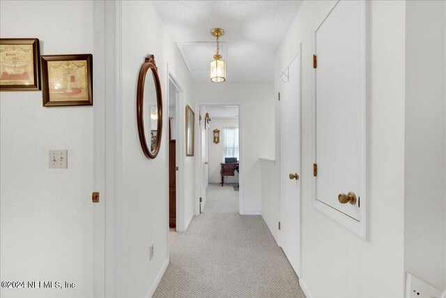 hall featuring light carpet and a textured ceiling