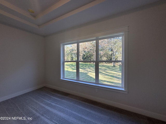 carpeted empty room with a wealth of natural light