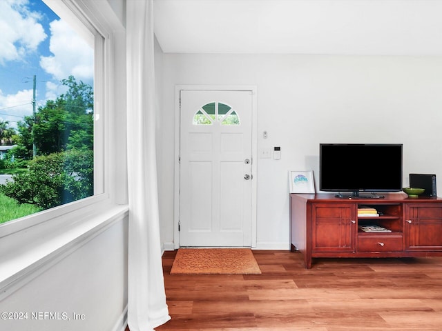 entryway with a wealth of natural light and light wood-type flooring