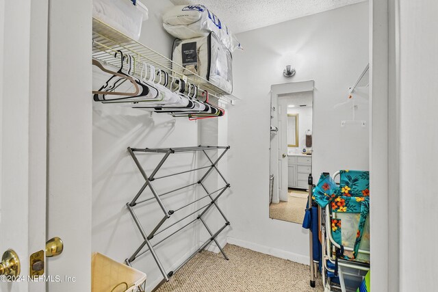 spacious closet featuring light carpet