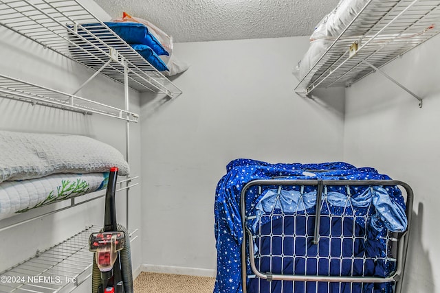 walk in closet featuring carpet floors