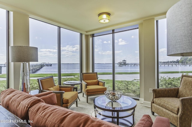 6000 San Jose Blvd Unit 11-C, Jacksonville, FL 32217 - carpeted living area featuring a wall of windows, a water view, and baseboards