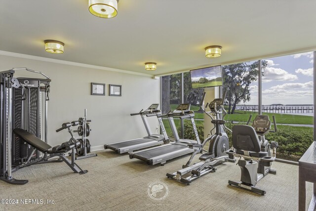 6000 San Jose Blvd Unit 11-C, Jacksonville, FL 32217 - exercise room featuring carpet floors, baseboards, floor to ceiling windows, and ornamental molding
