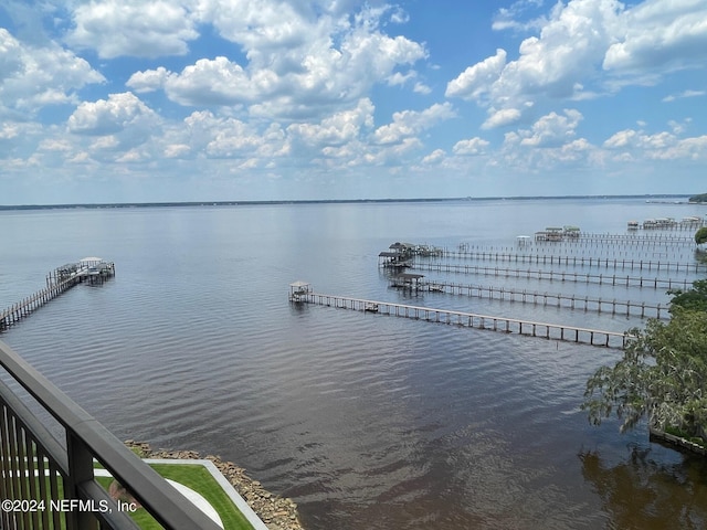 6000 San Jose Blvd Unit 11-C, Jacksonville, FL 32217 - water view