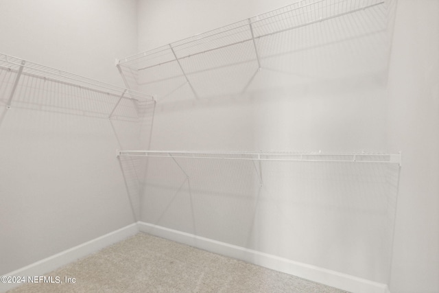 85425 Sandy Ridge Loop Unit 0085, Yulee, FL 32097 - walk in closet featuring carpet