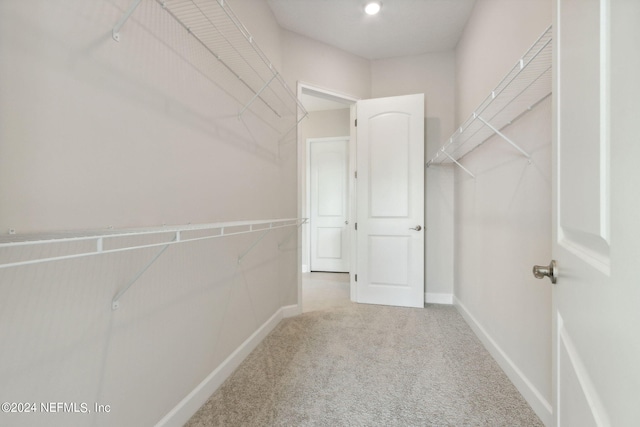 walk in closet featuring carpet