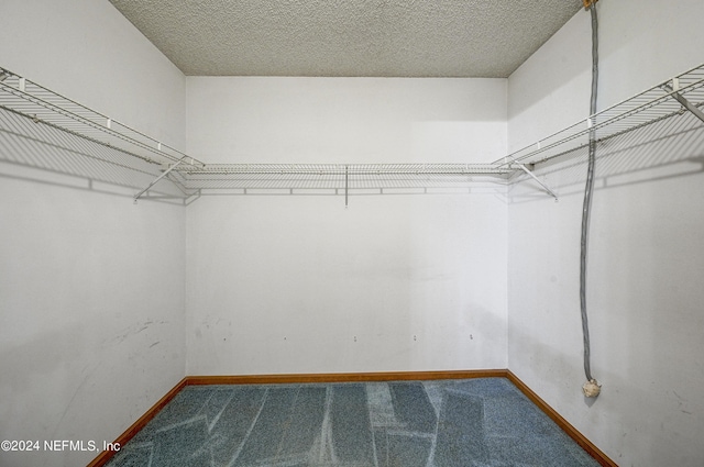 walk in closet featuring carpet