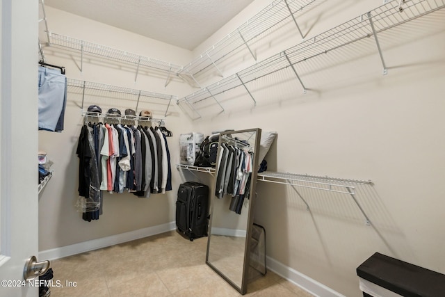 view of spacious closet