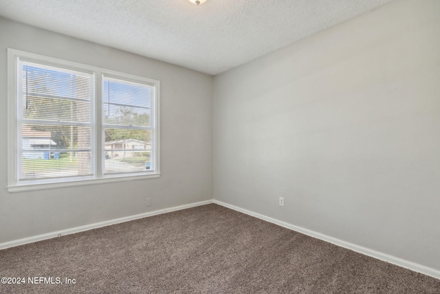 unfurnished room with carpet and a textured ceiling