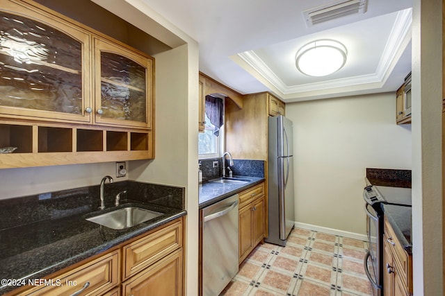 kitchen with a tray ceiling, sink, dark stone countertops, and stainless steel appliances