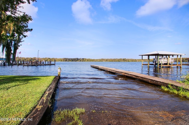 dock area with a water view