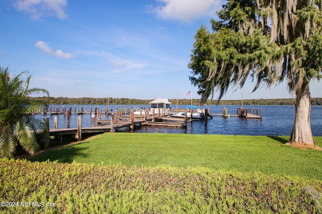 dock area with a yard and a water view