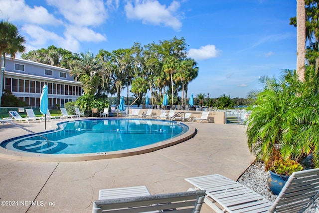 view of pool featuring a patio