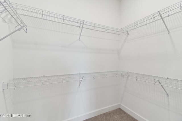 spacious closet featuring carpet floors