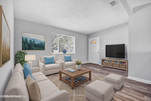 living room featuring wood-type flooring