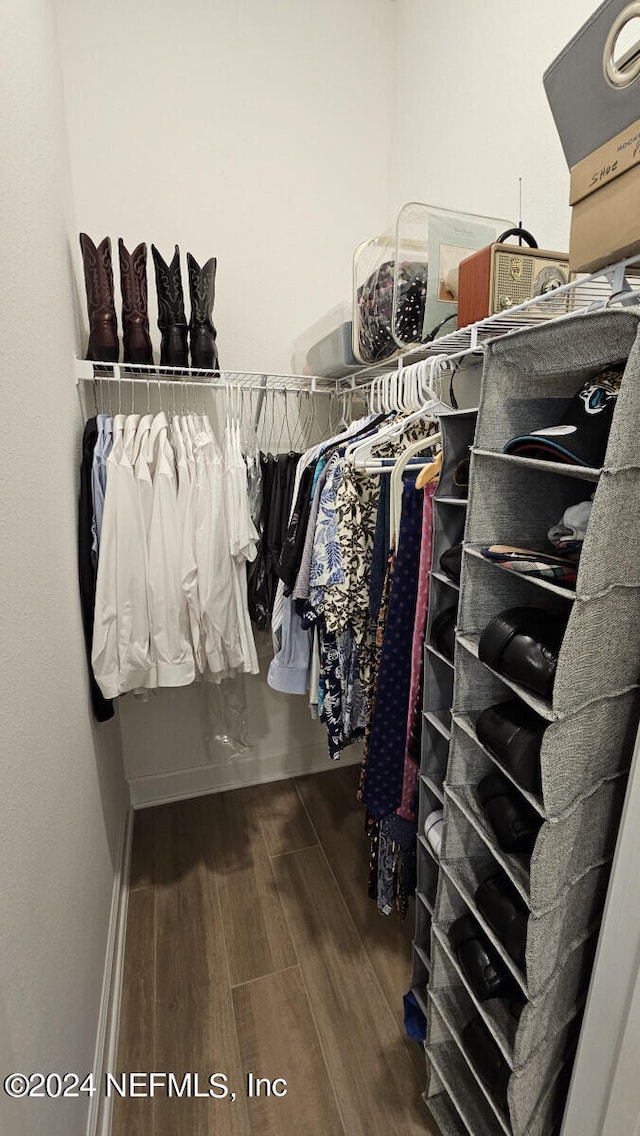 view of walk in closet