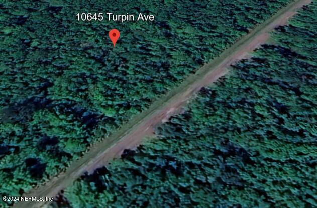 10645 Turpin Ave, Hastings FL, 32145 land for sale