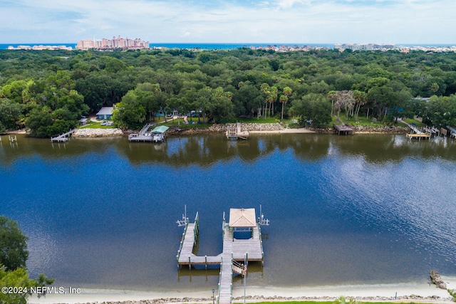 birds eye view of property featuring a water view