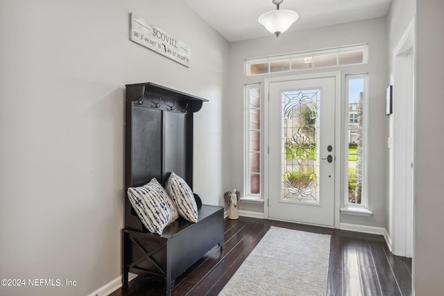 entryway featuring dark hardwood / wood-style floors and a wealth of natural light