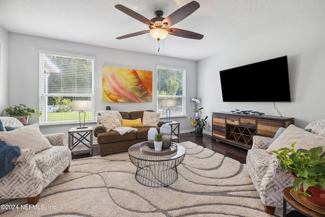 living room with ceiling fan, a healthy amount of sunlight, hardwood / wood-style floors, and a textured ceiling