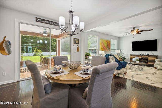 dining room with dark hardwood / wood-style flooring, ceiling fan with notable chandelier, and a textured ceiling