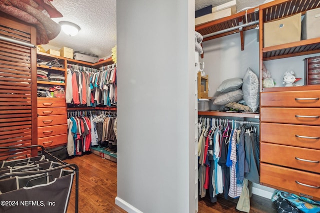 spacious closet with dark hardwood / wood-style flooring