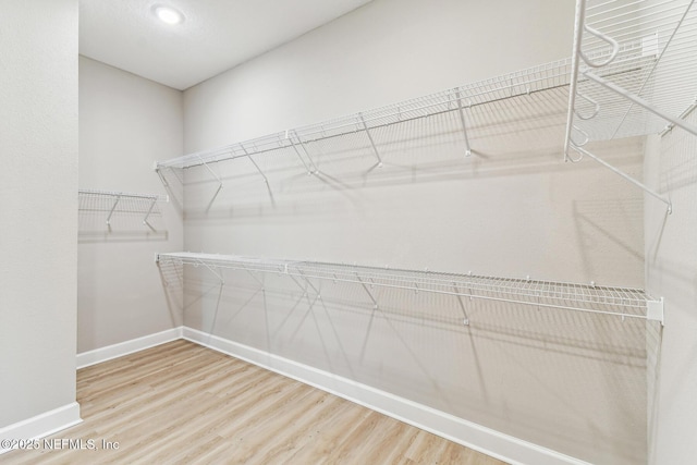 spacious closet featuring wood finished floors