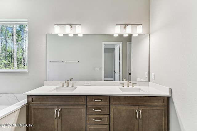 bathroom featuring a sink, a tub, and double vanity