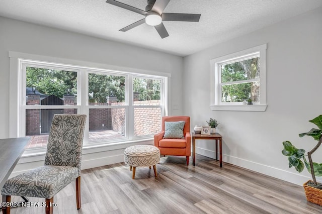 living area featuring plenty of natural light, light hardwood / wood-style flooring, ceiling fan, and a textured ceiling