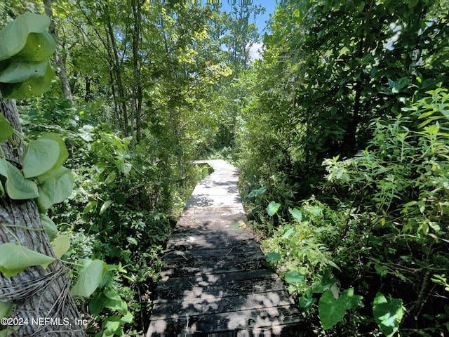 view of local wilderness