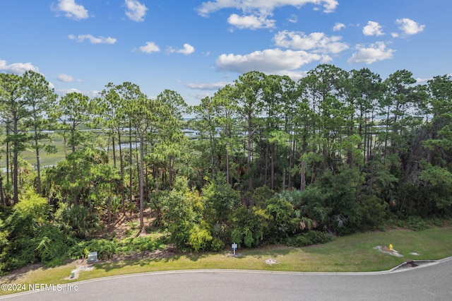 Listing photo 2 for 96744 Soap Creek Dr, Fernandina Beach FL 32034