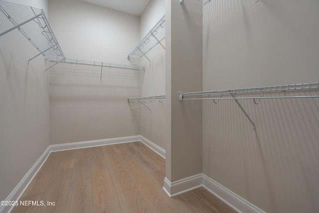 spacious closet featuring light hardwood / wood-style floors