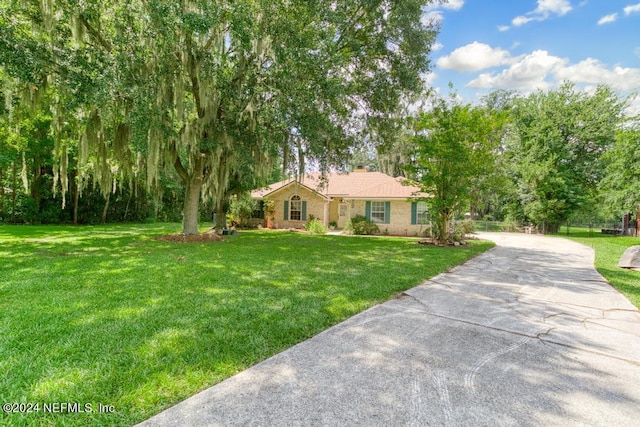 ranch-style house with a front lawn