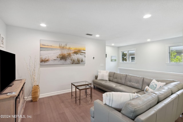 living room with a wealth of natural light and light hardwood / wood-style flooring