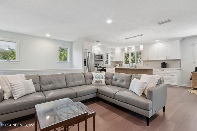 living room with a textured ceiling, light hardwood / wood-style flooring, and a wealth of natural light