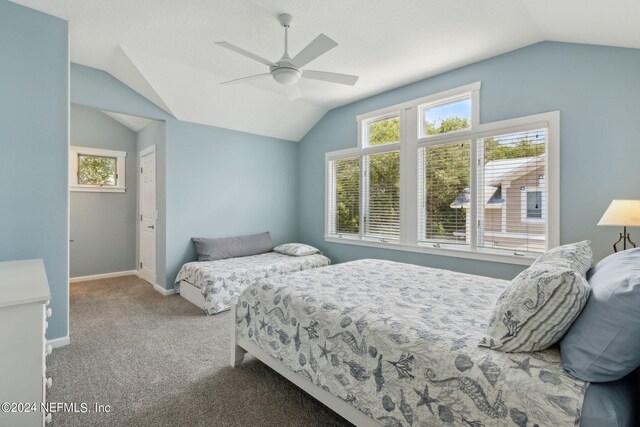 bedroom with multiple windows, ceiling fan, and lofted ceiling