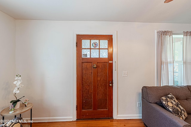 foyer entrance with hardwood / wood-style flooring