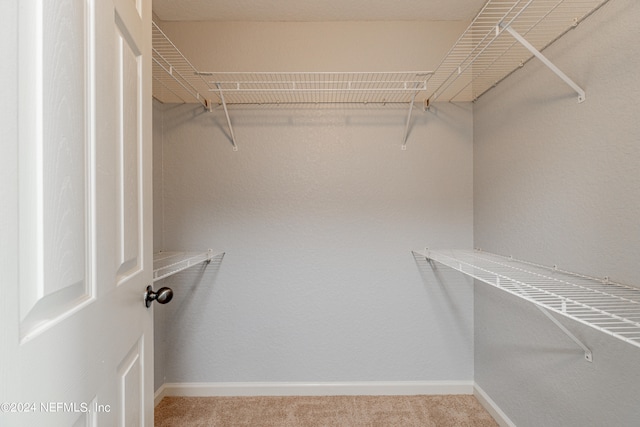 walk in closet featuring carpet flooring