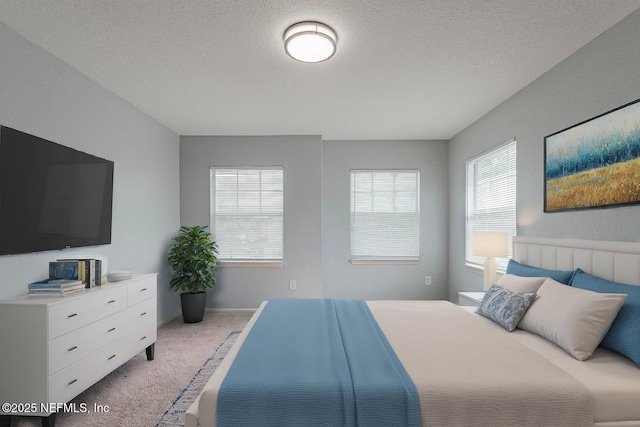 8550 Argyle Business Loop Unit 1507, Jacksonville, FL 32244 - bedroom with multiple windows, a textured ceiling, and carpet floors