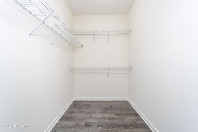 spacious closet featuring wood-type flooring