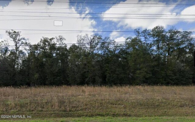1030 Discovery Dr, Middleburg, FL 32068 - photo 4